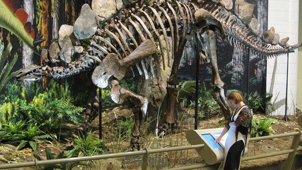 Carnegie Museum Of Natural History - Dinosaur Museum Pittsburgh