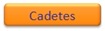 Cad_lar