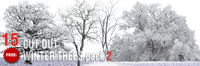 you volition hold out redirected on our novel website FREE CUT OUT WINTER TREES PACK #2