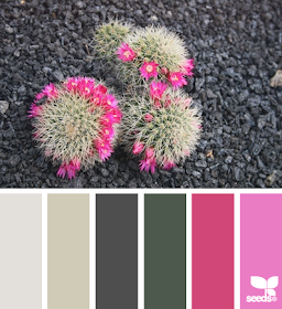 http://design-seeds.com/home/entry/desert-color