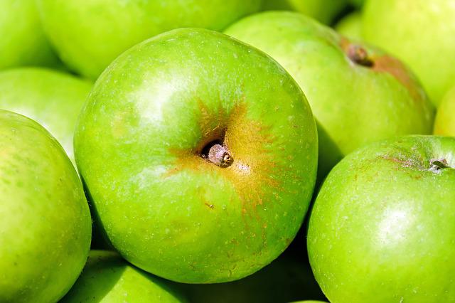gambar apel hijau untuk hamster