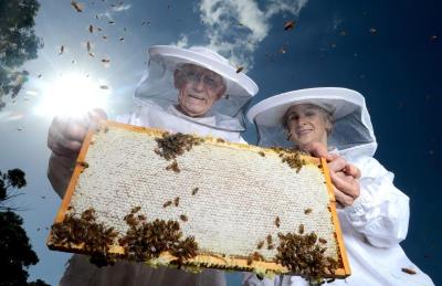 AUSTRALIA BEEKEEPING