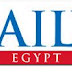 Egyptian Blogo-activisim By the Daily Star, Egypt