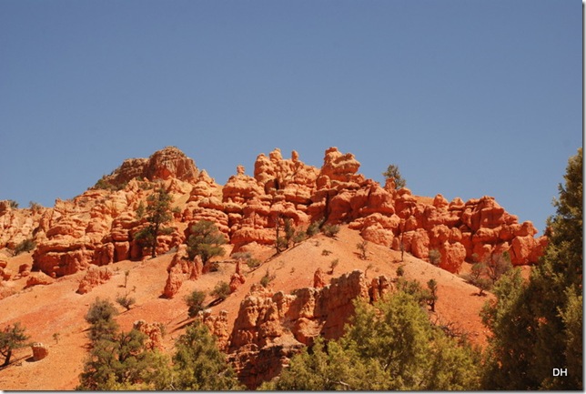 05-24-13 A Dixie NF Red Canyon Area (15)