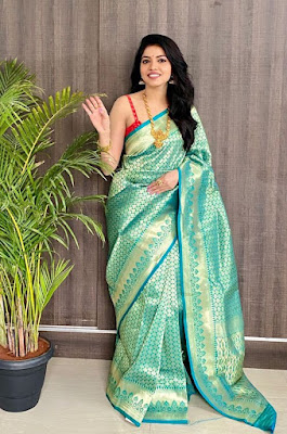 The Luxurious Banarasi Sarees