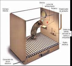 La Caja negra:Skinner.