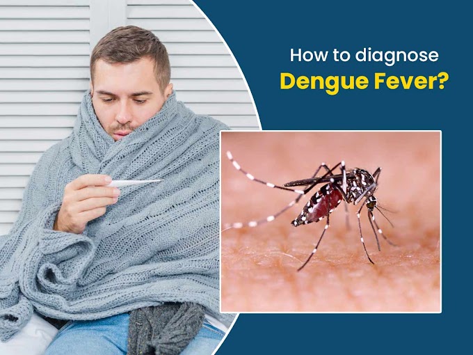 FAQs on Dengue and its Impact on Immunity,What is dengue fever?