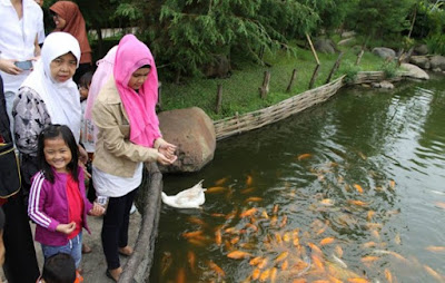 Memberi Makan Ikan menjadi keasikan tersendiri di Floating Market