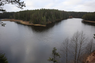 Saesaare järv
