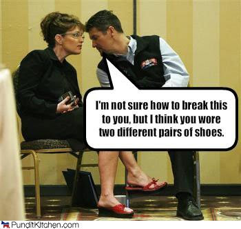 sarah palin fun