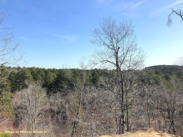 Pausing to admire the view from the bluffs at Hawn State Park.