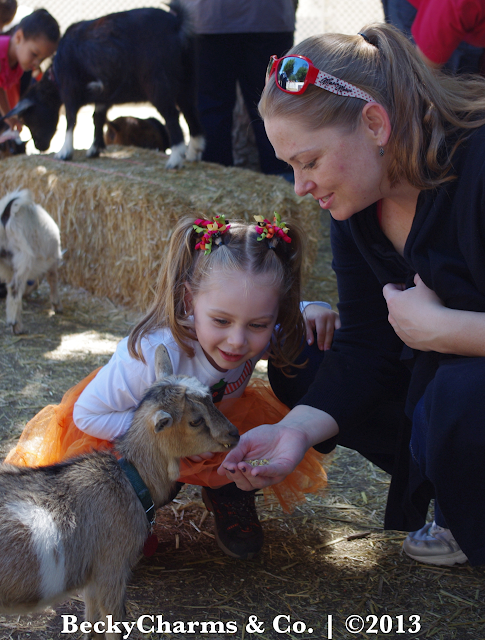 This Time Last Year - Bates Nut Farm Pumpkin Patch 2012 by BeckyCharms & Co.