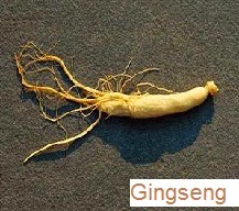 Gingseng