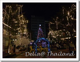 DSCF0102