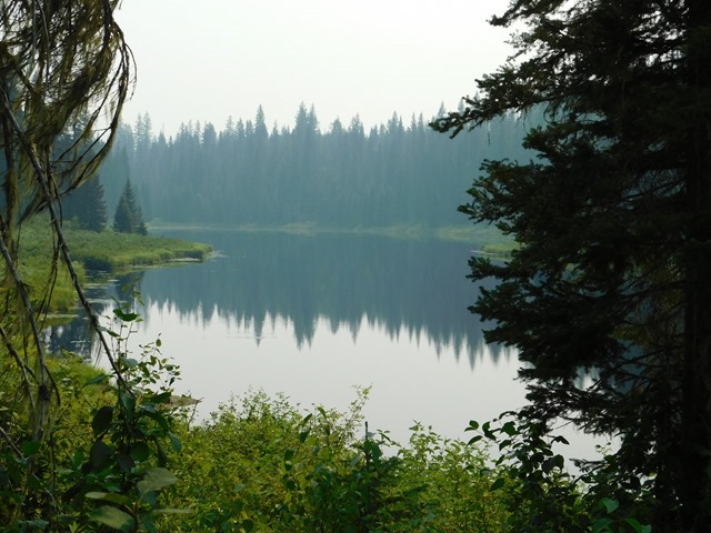 C019_CAN BC Wells Gray PP Ray Farm_2018-08-10_DSCN2188