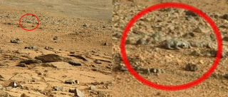 Ada Foto Kadal Di Planet Mars http://diaz-zahran-asyari.blogspot.com/