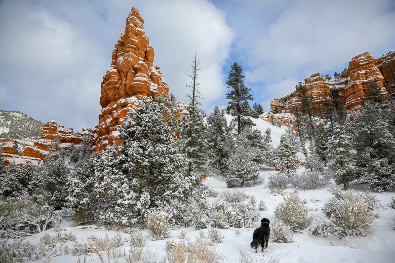 red canyon-3