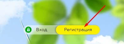 Регистрация в Energy Found