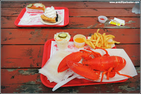 Lobster Shacks en la Costa Sur de Maine: The Lobster Shack