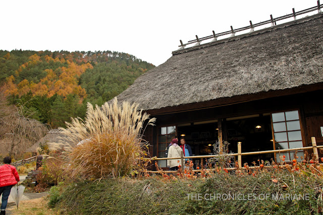 fuji museum