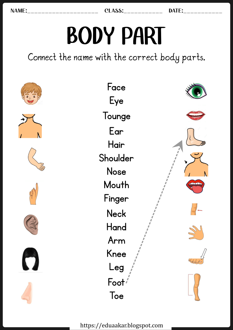 Body Parts worksheets for Nursery