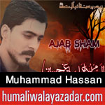 http://www.humaliwalayazadar.com/2016/09/muhammad-hassan-nohay-2017.html