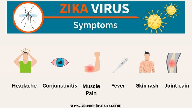 भारत में जीका वायरस (Zika virus) की स्थिति | Zika Virus