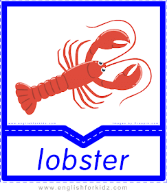 Lobster - English food flashcards for ESL students