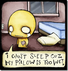 pon_zi_1