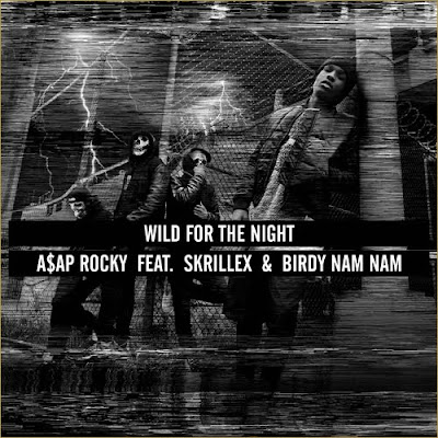 A$AP Rocky - Wild for the Night (ft. Skrillex and Birdy Nam Nam)