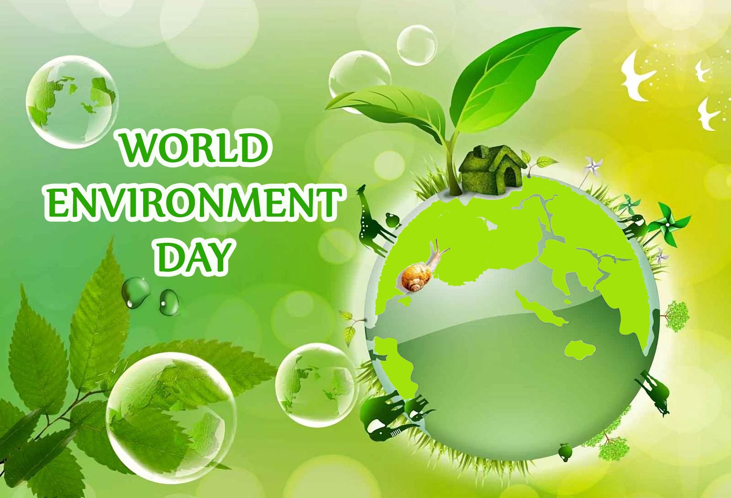 Всемирный день экологических знаний