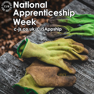 dirty green gloves on a wooden picnic bench. Text reads: National Apprenticeship Week