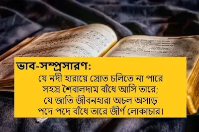 যে নদী হারায়ে স্রোত চলিতে না পারে সহস্র শৈবালদাম বাঁধে আসি তারে;  যে জাতি জীবনহারা অচল অসাড়  পদে পদে বাঁধে তারে জীর্ণ লােকাচার।