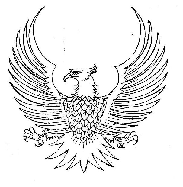 Sketsa Gambar Burung Garuda