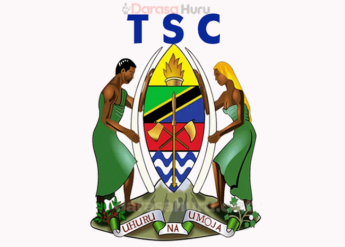 TSC: Sifa za Kupandisha cheo Walimu (Sifa za Kupanda Daraja) - Tanzania