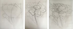 Three stage drawing process for a rose