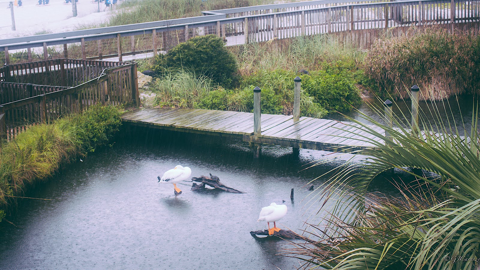 Things To Do in the Florida Panhandle with Kids: Visit the Gulfarium Marine Adventure Park