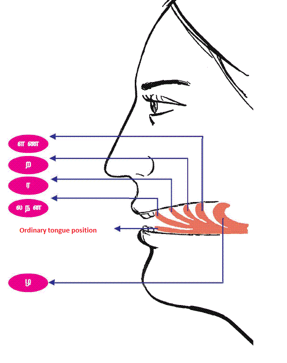 LEARN TAMIL FREE ON LINE