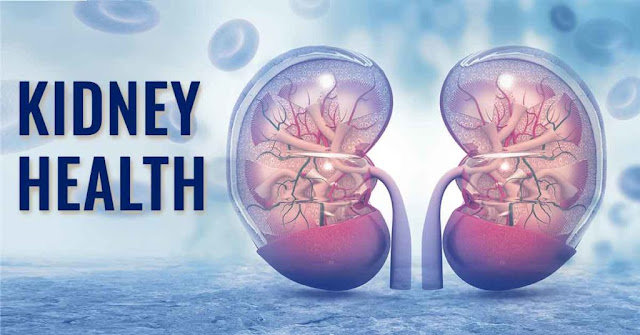 गुर्दे के मरीज किडनी फेल्योर लोगों का खान पान डाइट चार्ट | Kidney Failure and kidney Patient Diet Chart in Hindi