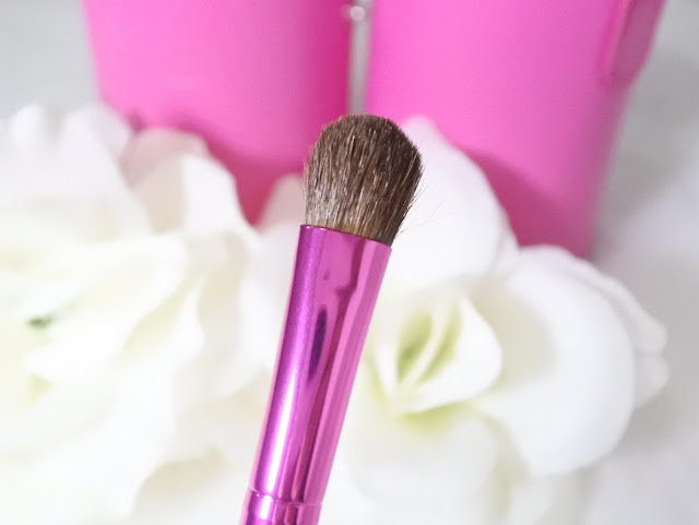 Review Zoya Brush Set