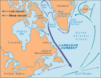 Labrador Current (Credit: alchetron.com/Labrador-Current) Click to Enlarge.