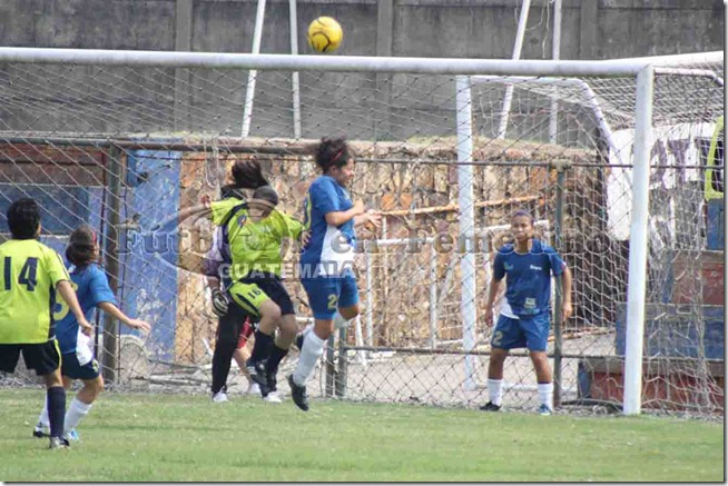 al tubo del arco de unifut