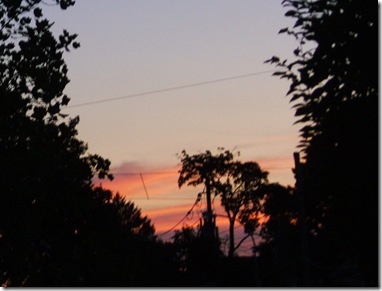 PICT0094