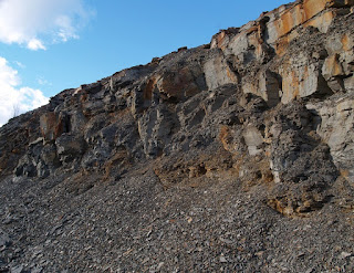 View of the fossil bearing road cut along the Sussex highway in New Brunswick