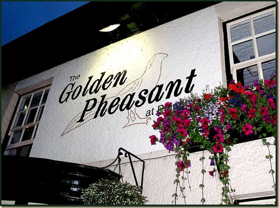 The Golden Pheasant