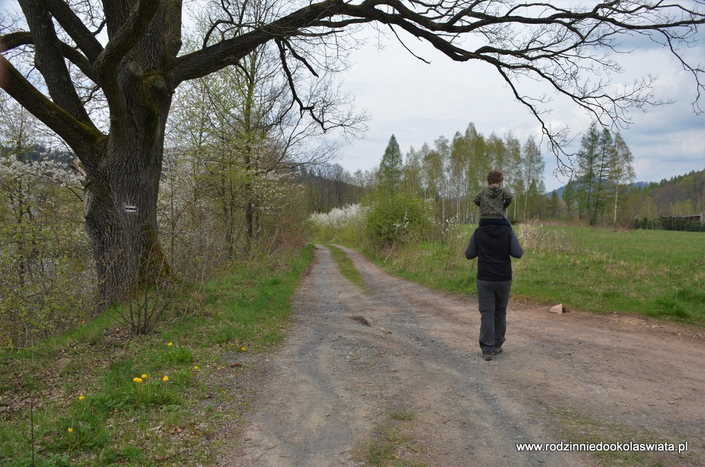 Starościńskie-Skały-Strużnica