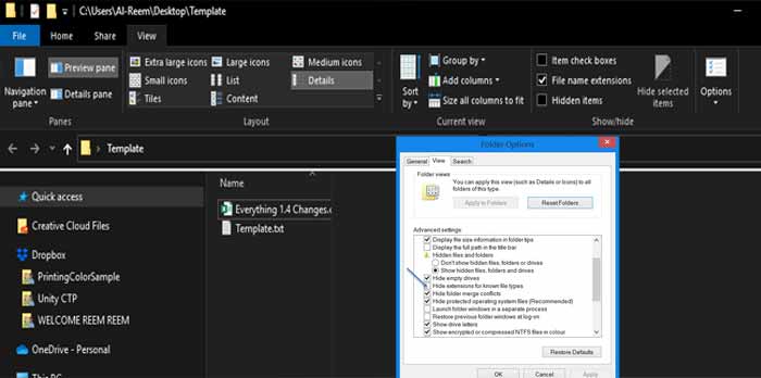 How to turn on Show hidden files and folders & hidden filename extensions in Windows