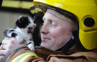 Animals Being Rescued Seen On www.coolpicturegallery.us