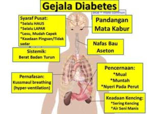 Daun Insulin Untuk Penderita Diabetes,