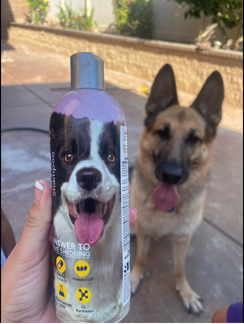 Shed Control Shampoo for Dogs